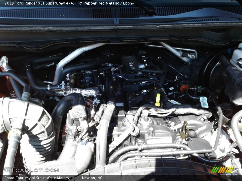 Hot Pepper Red Metallic / Ebony 2019 Ford Ranger XLT SuperCrew 4x4