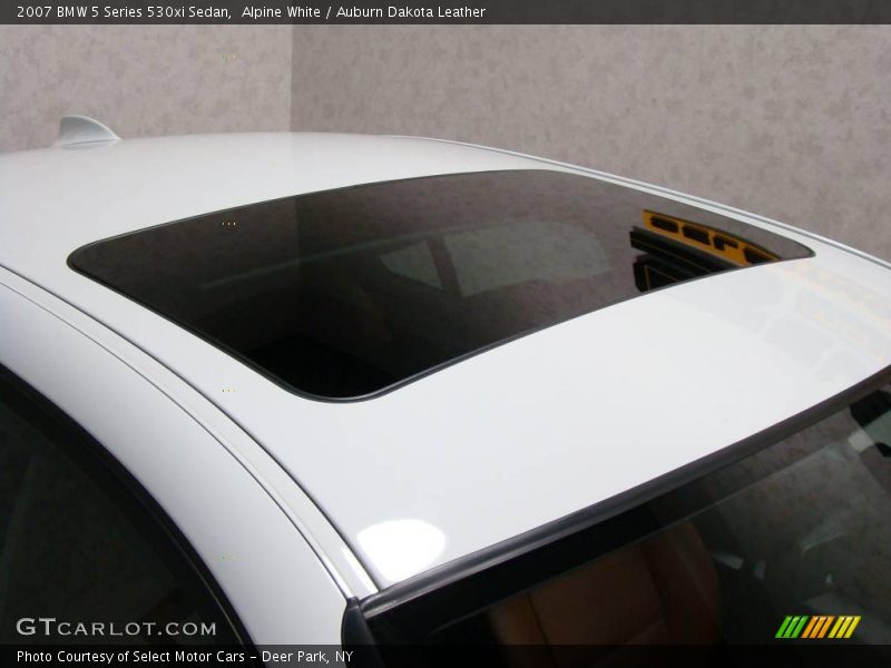 Alpine White / Auburn Dakota Leather 2007 BMW 5 Series 530xi Sedan