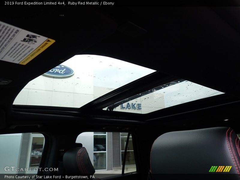 Ruby Red Metallic / Ebony 2019 Ford Expedition Limited 4x4