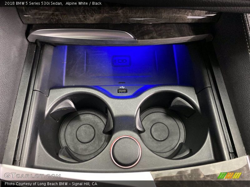 Alpine White / Black 2018 BMW 5 Series 530i Sedan