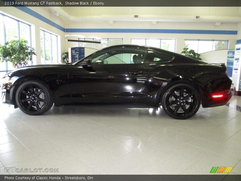 Shadow Black / Ebony 2019 Ford Mustang GT Fastback