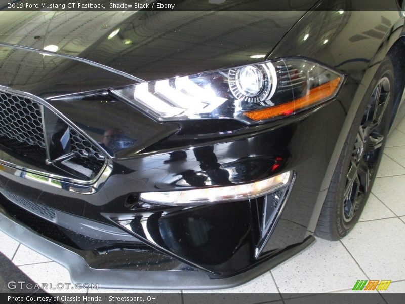 Shadow Black / Ebony 2019 Ford Mustang GT Fastback