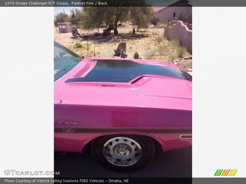 Panther Pink / Black 1970 Dodge Challenger R/T Coupe