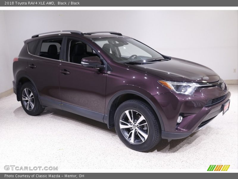 Black / Black 2018 Toyota RAV4 XLE AWD