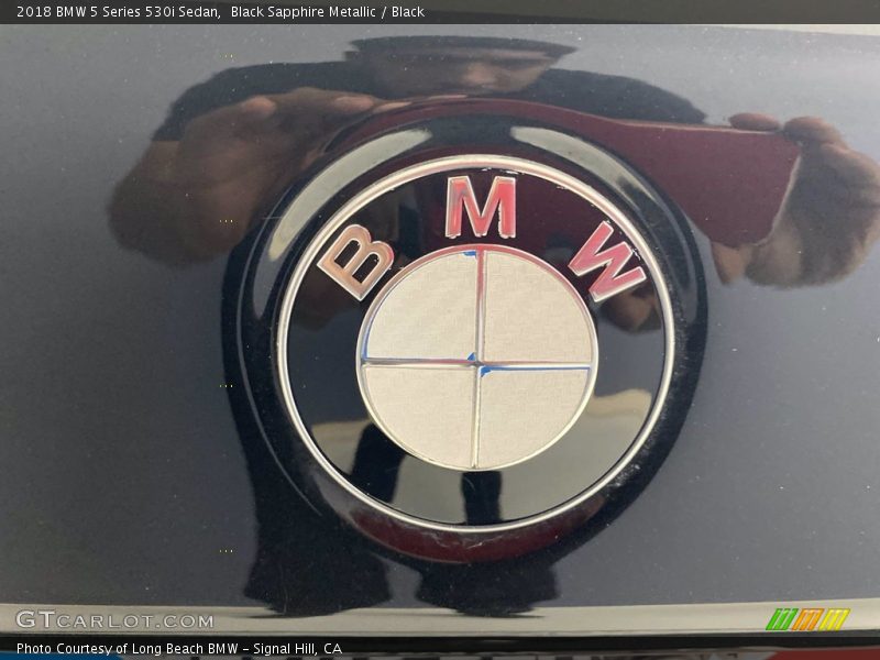 Black Sapphire Metallic / Black 2018 BMW 5 Series 530i Sedan