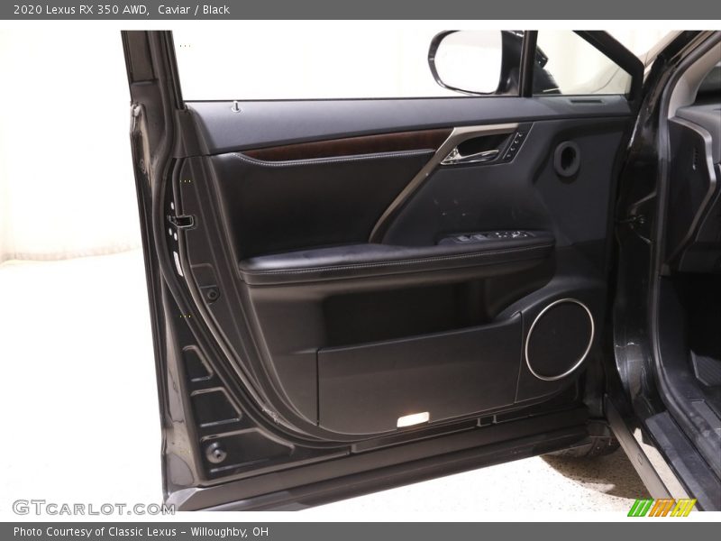 Door Panel of 2020 RX 350 AWD