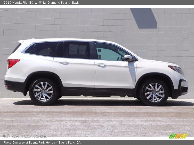 White Diamond Pearl / Black 2019 Honda Pilot EX-L