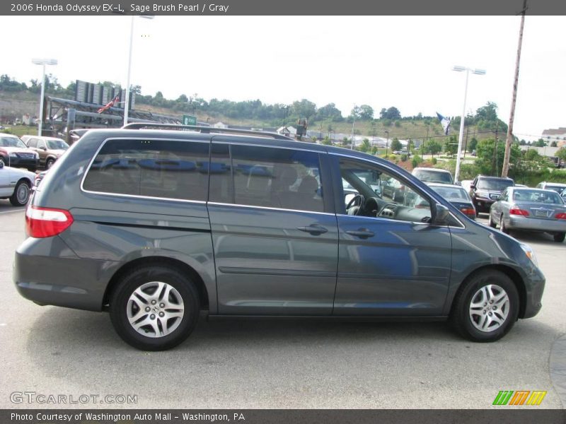 Sage Brush Pearl / Gray 2006 Honda Odyssey EX-L