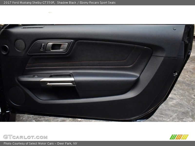 Door Panel of 2017 Mustang Shelby GT350R