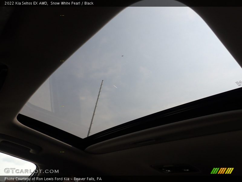 Snow White Pearl / Black 2022 Kia Seltos EX AWD