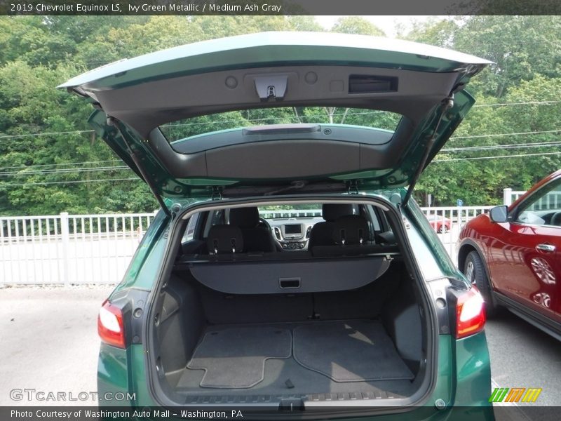 Ivy Green Metallic / Medium Ash Gray 2019 Chevrolet Equinox LS