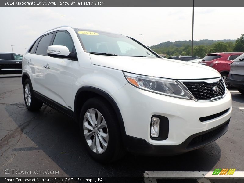 Snow White Pearl / Black 2014 Kia Sorento EX V6 AWD