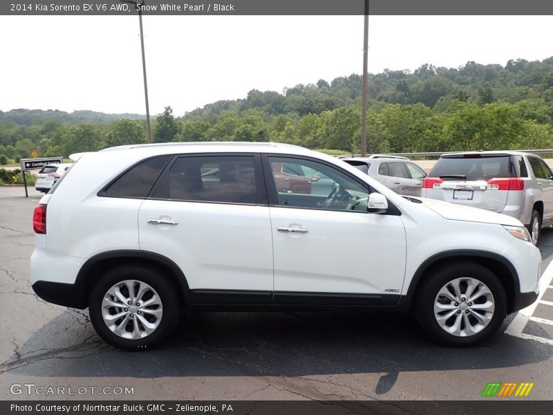 Snow White Pearl / Black 2014 Kia Sorento EX V6 AWD