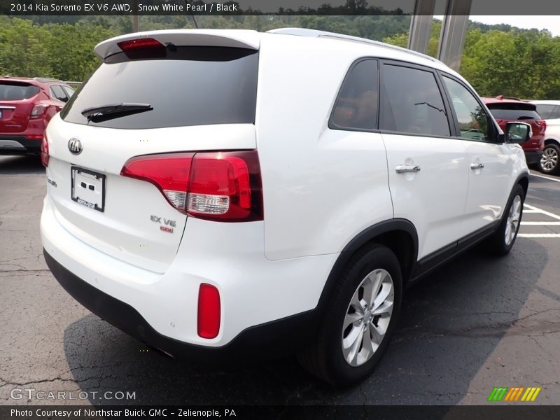 Snow White Pearl / Black 2014 Kia Sorento EX V6 AWD