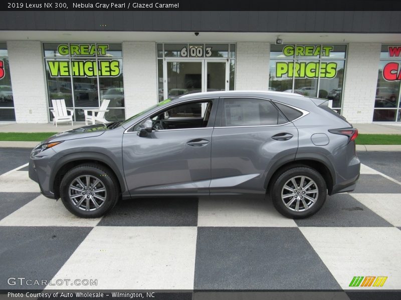 Nebula Gray Pearl / Glazed Caramel 2019 Lexus NX 300