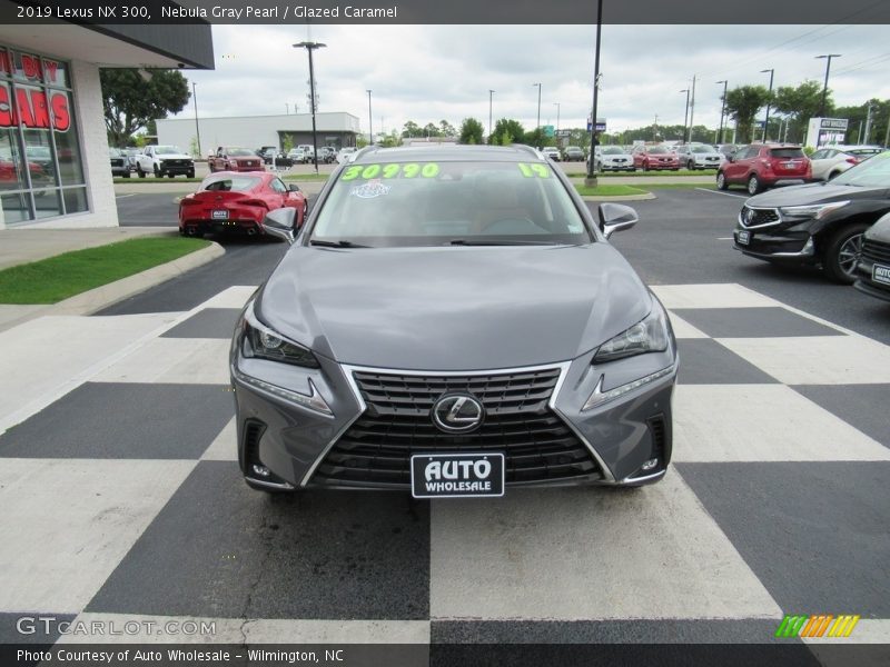 Nebula Gray Pearl / Glazed Caramel 2019 Lexus NX 300