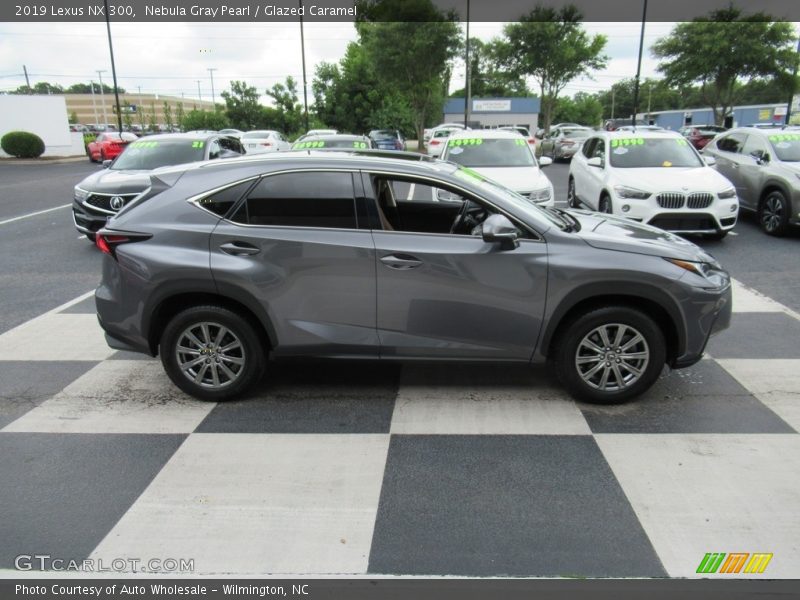 Nebula Gray Pearl / Glazed Caramel 2019 Lexus NX 300