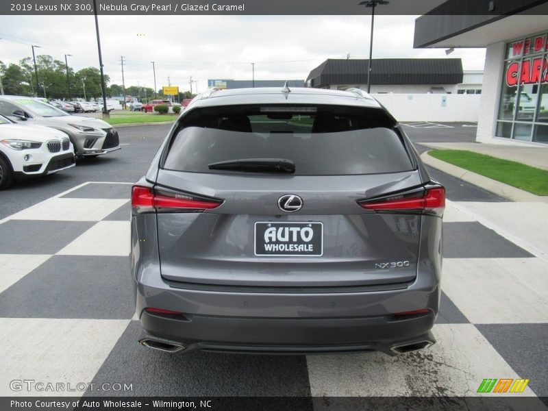 Nebula Gray Pearl / Glazed Caramel 2019 Lexus NX 300