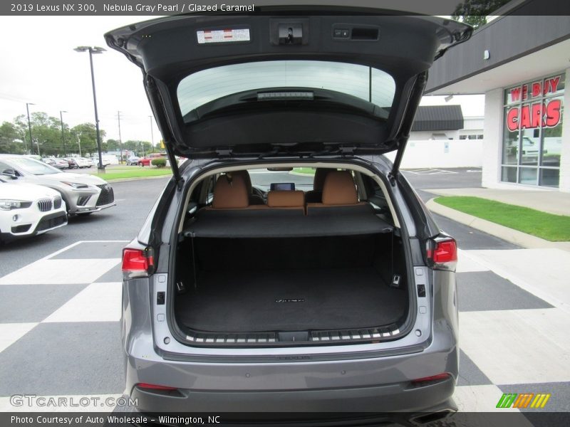 Nebula Gray Pearl / Glazed Caramel 2019 Lexus NX 300