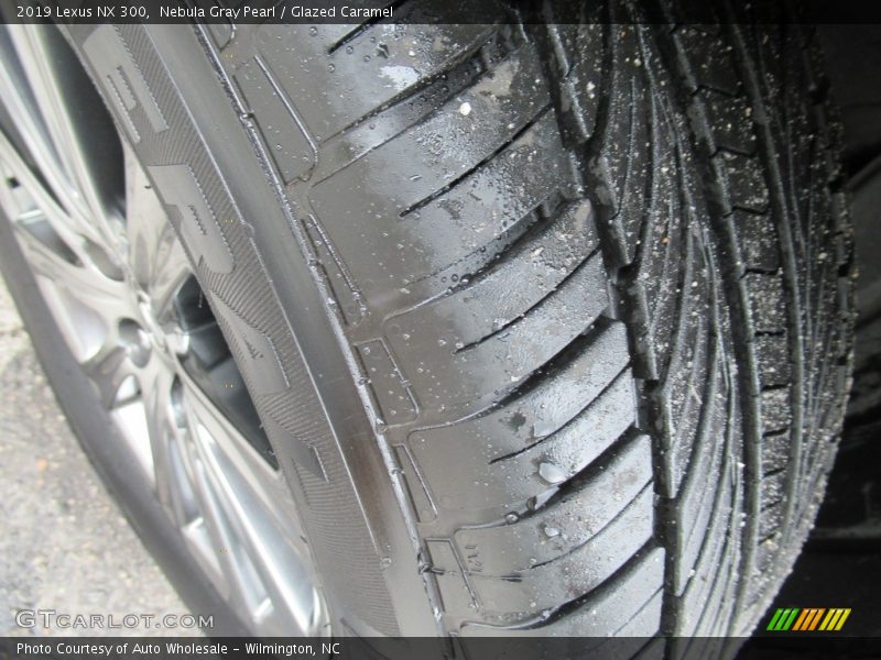 Nebula Gray Pearl / Glazed Caramel 2019 Lexus NX 300