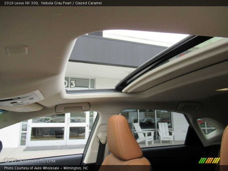 Nebula Gray Pearl / Glazed Caramel 2019 Lexus NX 300