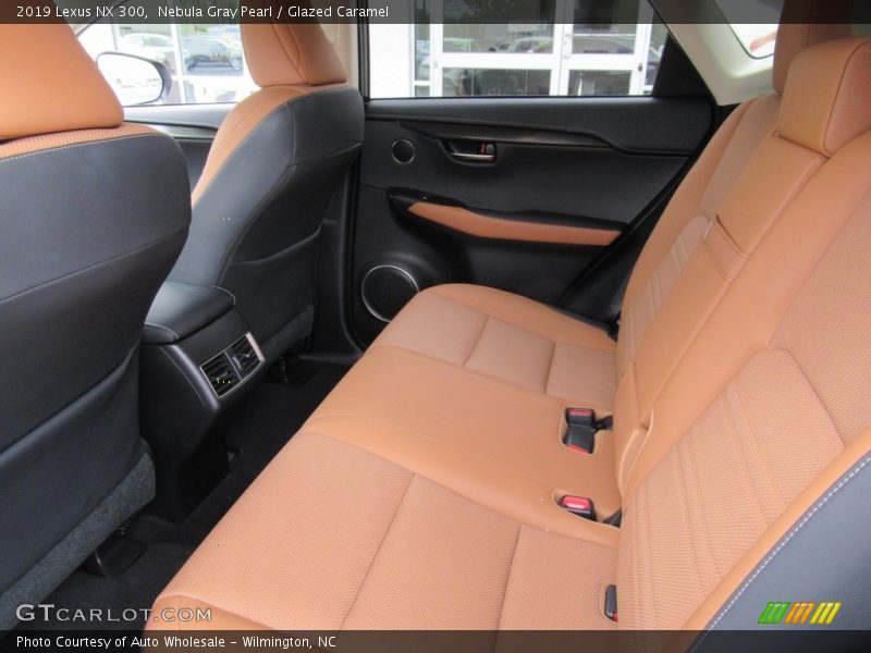 Nebula Gray Pearl / Glazed Caramel 2019 Lexus NX 300
