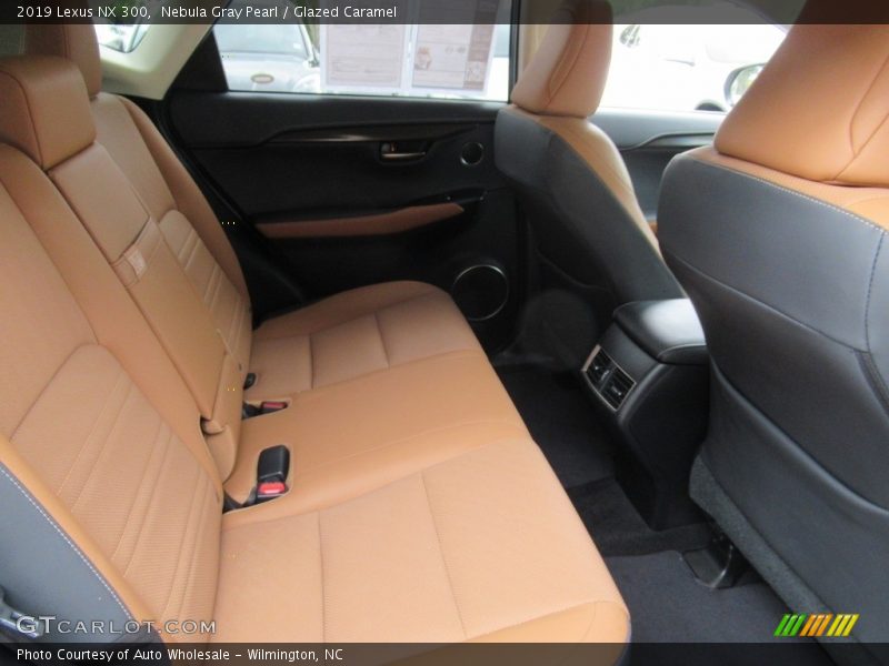 Nebula Gray Pearl / Glazed Caramel 2019 Lexus NX 300