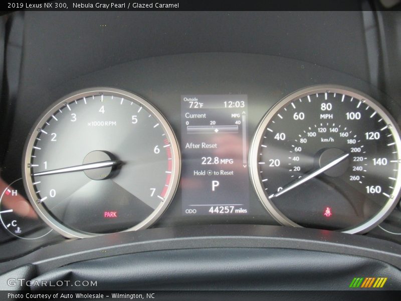 Nebula Gray Pearl / Glazed Caramel 2019 Lexus NX 300