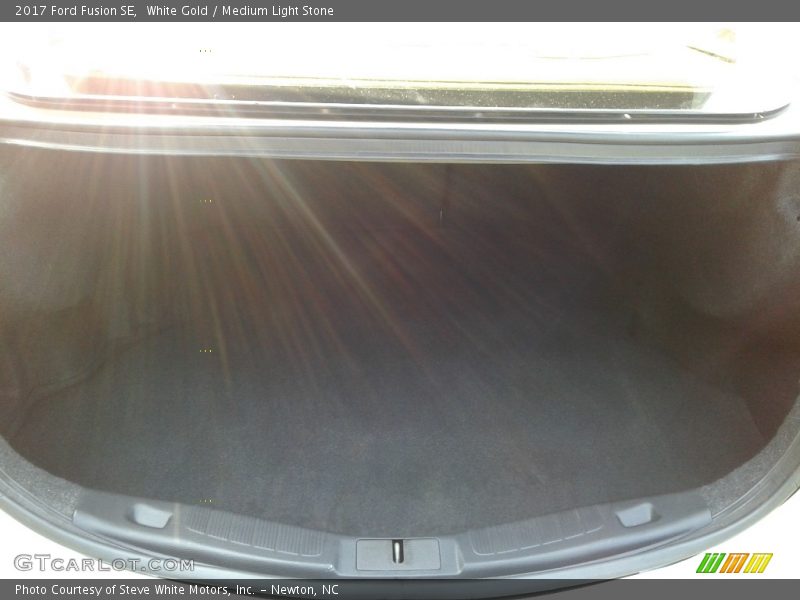 White Gold / Medium Light Stone 2017 Ford Fusion SE