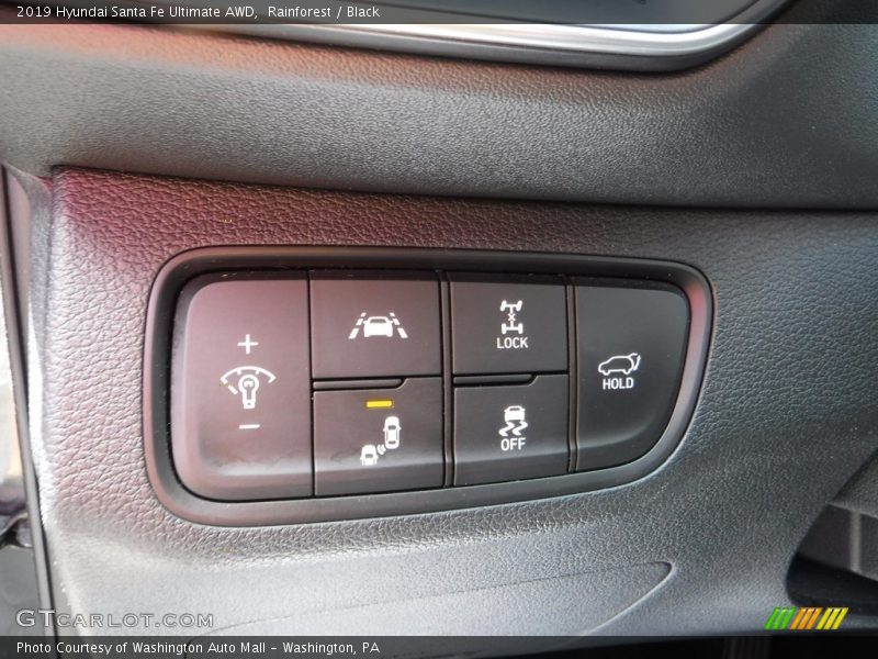 Rainforest / Black 2019 Hyundai Santa Fe Ultimate AWD