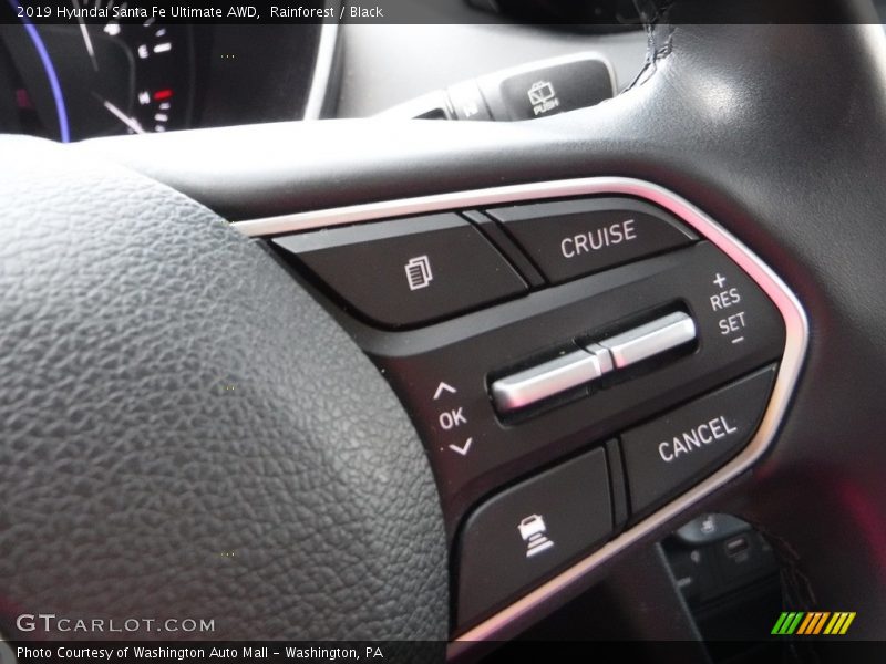 Rainforest / Black 2019 Hyundai Santa Fe Ultimate AWD