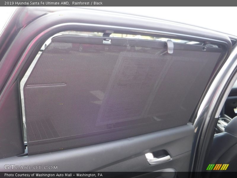 Rainforest / Black 2019 Hyundai Santa Fe Ultimate AWD