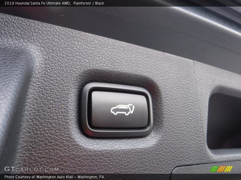 Rainforest / Black 2019 Hyundai Santa Fe Ultimate AWD