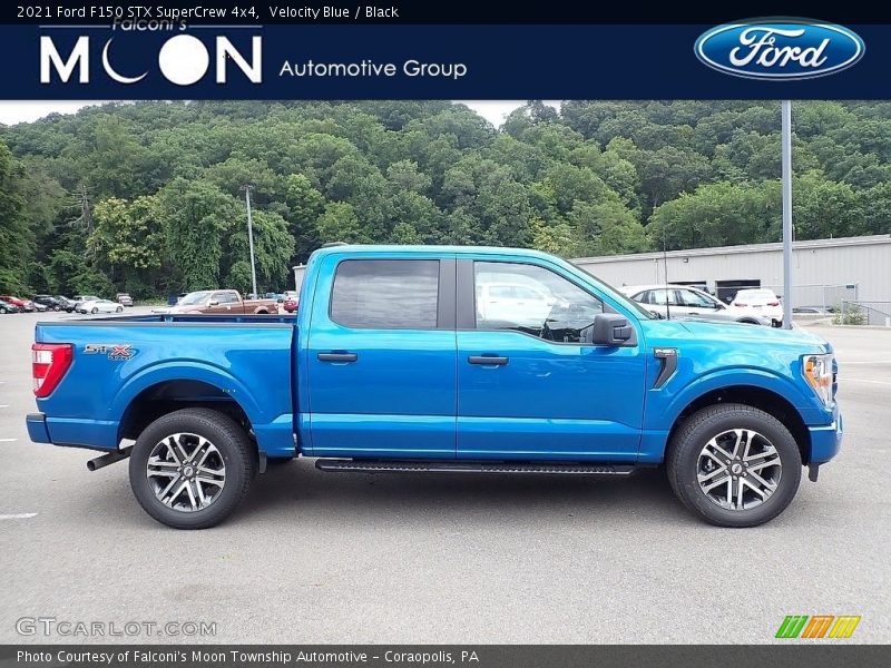 Velocity Blue / Black 2021 Ford F150 STX SuperCrew 4x4