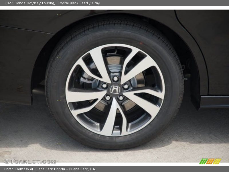  2022 Odyssey Touring Wheel