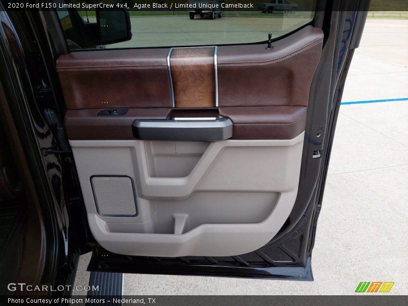Door Panel of 2020 F150 Limited SuperCrew 4x4