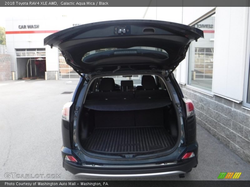 Galactic Aqua Mica / Black 2018 Toyota RAV4 XLE AWD