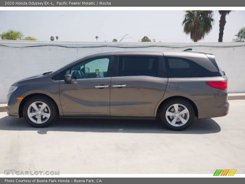Pacific Pewter Metallic / Mocha 2020 Honda Odyssey EX-L