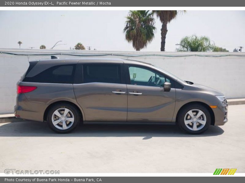 Pacific Pewter Metallic / Mocha 2020 Honda Odyssey EX-L