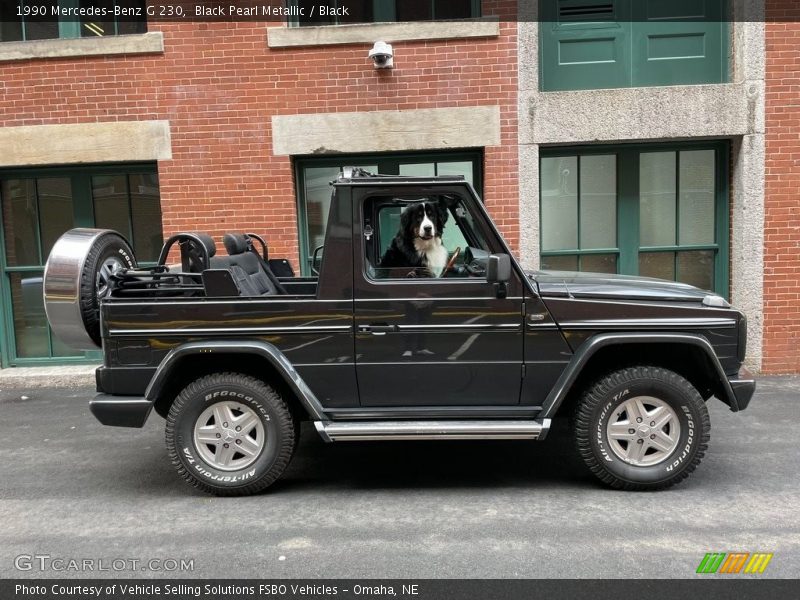 Black Pearl Metallic / Black 1990 Mercedes-Benz G 230