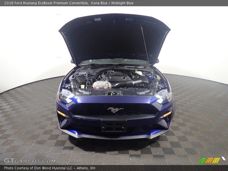 Kona Blue / Midnight Blue 2018 Ford Mustang EcoBoost Premium Convertible