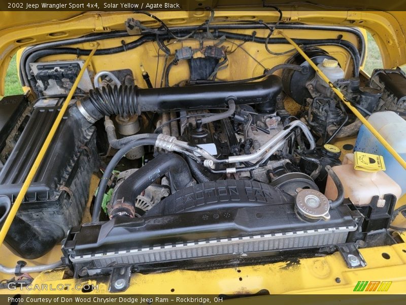 Solar Yellow / Agate Black 2002 Jeep Wrangler Sport 4x4