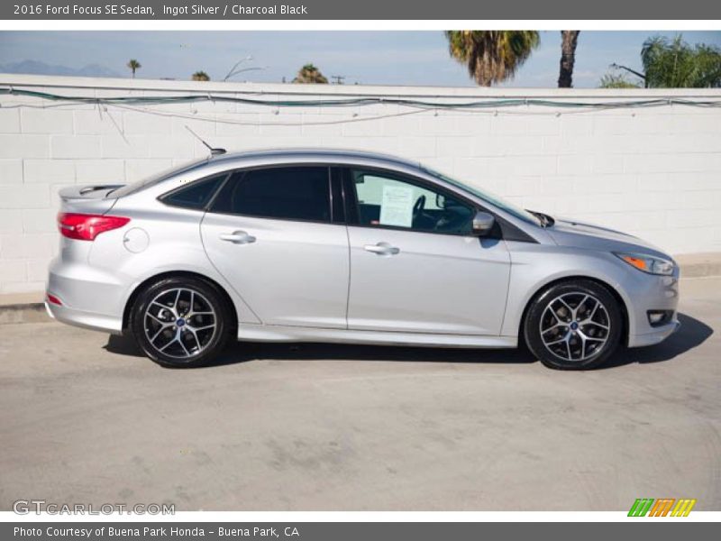 Ingot Silver / Charcoal Black 2016 Ford Focus SE Sedan
