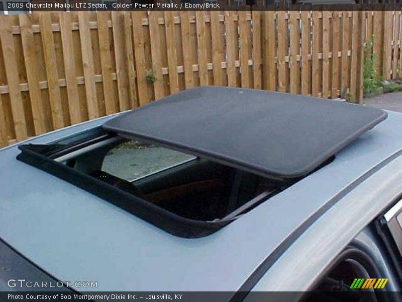 Golden Pewter Metallic / Ebony/Brick 2009 Chevrolet Malibu LTZ Sedan