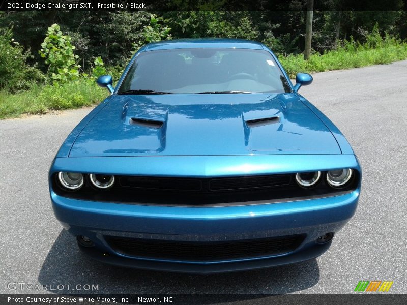 Frostbite / Black 2021 Dodge Challenger SXT