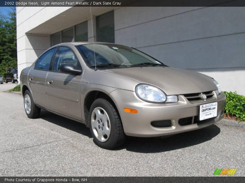 Light Almond Pearl Metallic / Dark Slate Gray 2002 Dodge Neon