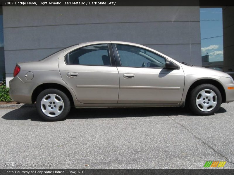 Light Almond Pearl Metallic / Dark Slate Gray 2002 Dodge Neon
