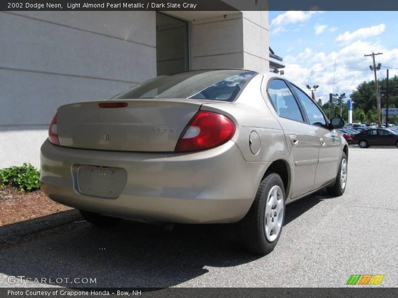 Light Almond Pearl Metallic / Dark Slate Gray 2002 Dodge Neon