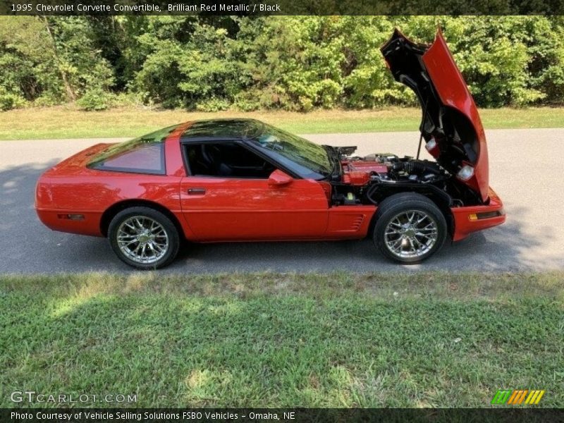 Brilliant Red Metallic / Black 1995 Chevrolet Corvette Convertible