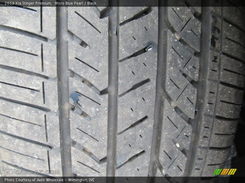 Micro Blue Pearl / Black 2019 Kia Stinger Premium